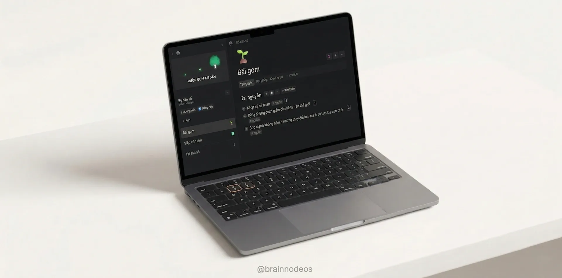 Mẫu Bộ Não Số Tana bạn sẽ nhận được miễn phí trong khóa học