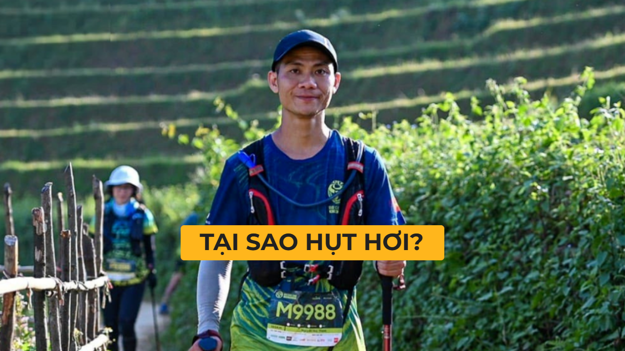 Thành Nghiêng | Đã có <strong>1</strong> đơn hàng 