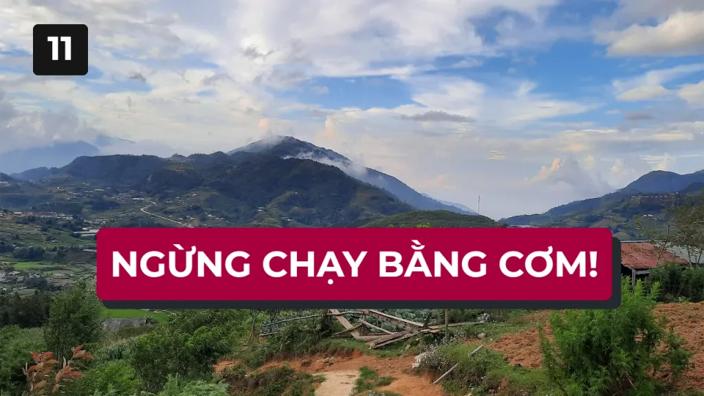 Xây cỗ máy Email tự động chốt đơn