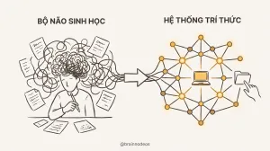 Tana Outliner: Cứu Cánh Cho Người Kinh Doanh Solo